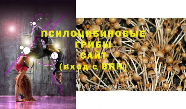 бутират Арсеньев