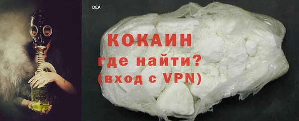 шишки Армянск